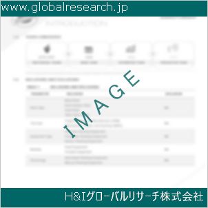 グローバルリサーチ調査資料のイメージ